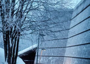 Tidligere jobber fra Sanne Hauglid AS