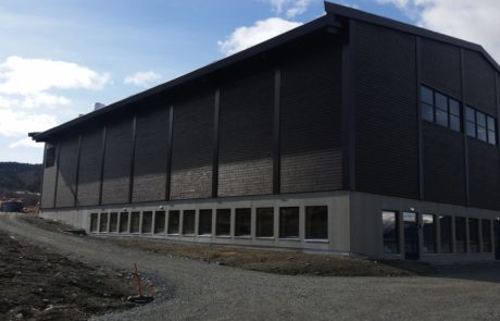 Vang barne- og ungdomsskule